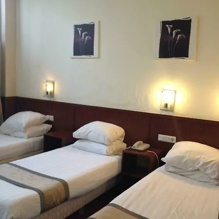 فندق De Paris 3*